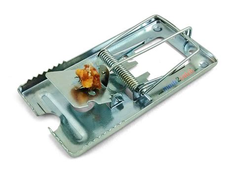 are mouse traps metal fabricated|metal mouse traps that work.